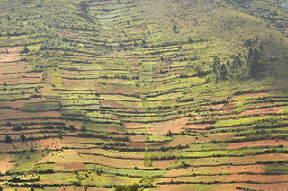 Kigezi 1