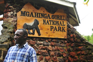 Mugahinga park 1
