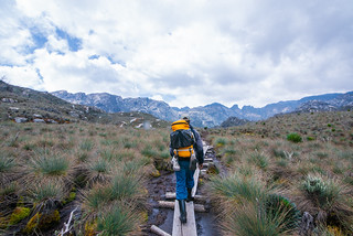 walking rwenzori